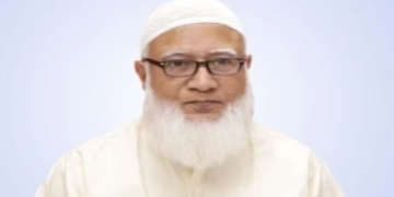 ফাইল ছবি