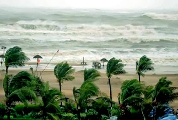 ফাইল ছবি। সংগৃহীত