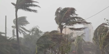 ফাইল ছবি। সংগৃহীত