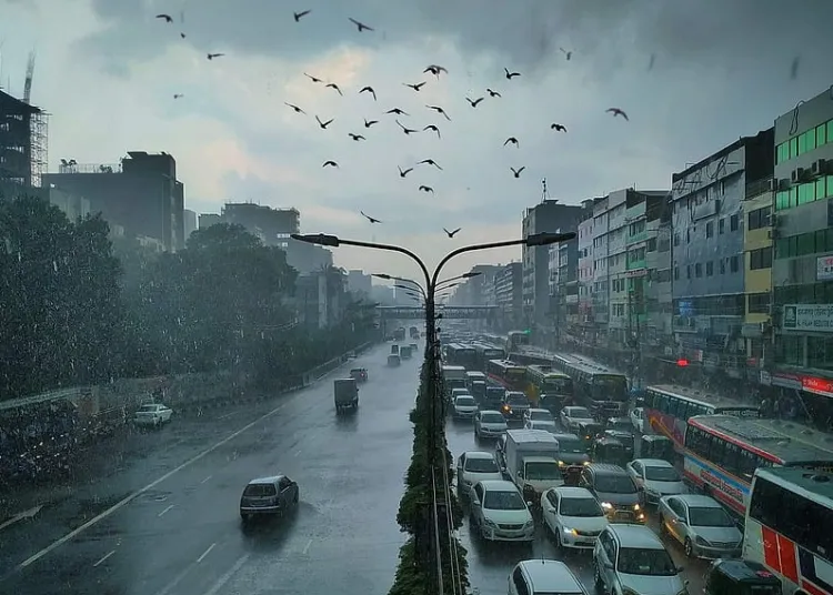 ফাইল ছবি