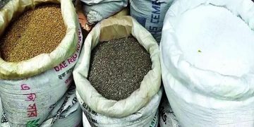 ছবি- সংগৃহিত