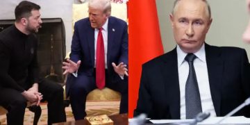 ভলোদিমির জেলেনস্কি, ডোনাল্ড ট্রাম্প এবং ভ্লাদিমির পুতিনের ফাইল ছবি