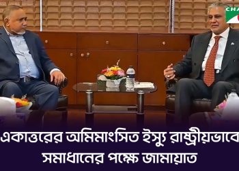 পাকিস্তানের উপ-প্রধানমন্ত্রীর সাথে বিএনপি-জামায়াত ও এনসিপি নেতাদের বৈঠক