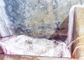 মরদেহ উদ্ধার