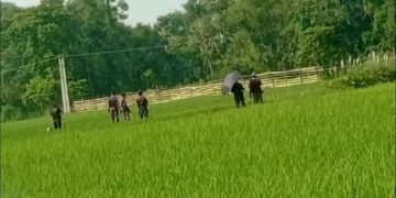 দিনাজপুর সীমান্তে বেড়া দিয়েছে বিএসএফ, বিজিবি'র কড়া প্রতিবাদ