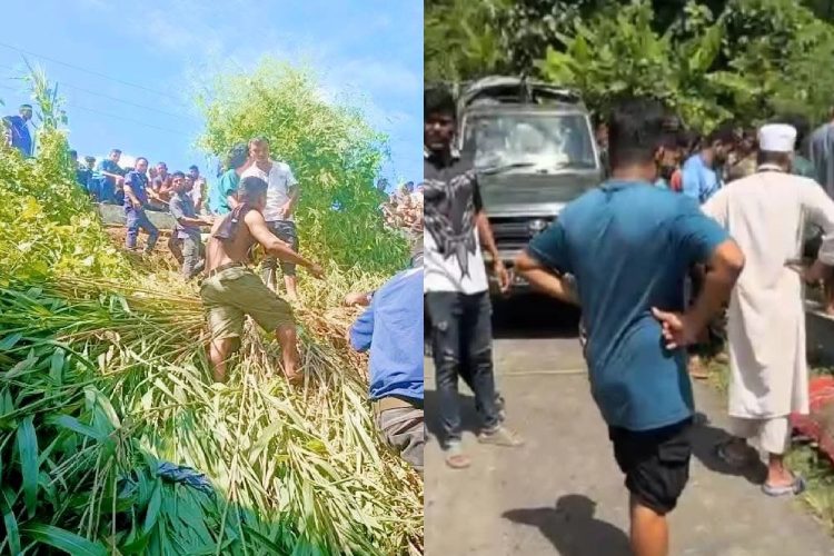 ছবি: সংগৃহীত