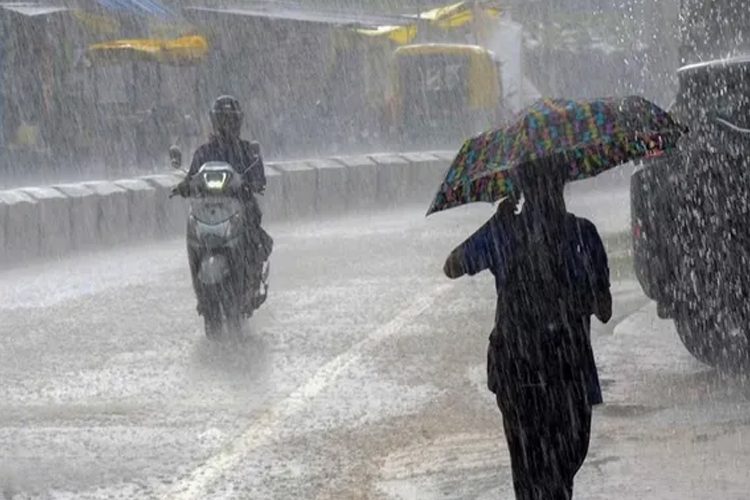 ফাইল ছবি।