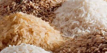 বিভিন্ন ধরনের চালের ছবি, বাসমতী ছাড়া সব ধরনের চাল রপ্তানির শর্তে আলোচনায়. Channel i News - চ্যানেল আই নিউজ