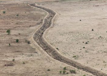 নাইজেরিয়ার বোর্নো গ্রাম।