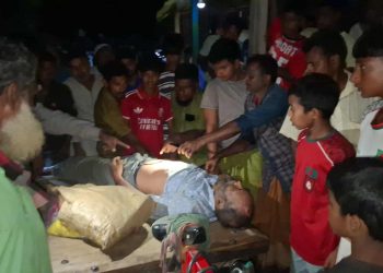 টাঙ্গাইলে রাস্তা পারাপারের সময় ট্রাকের ধাক্কায় নিহত ১ জন