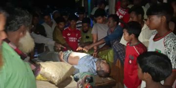 টাঙ্গাইলে রাস্তা পারাপারের সময় ট্রাকের ধাক্কায় নিহত ১ জন