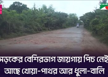 সাতক্ষীরা থেকে মুন্সিগঞ্জ সড়ক এখন মরণ ফাঁদ