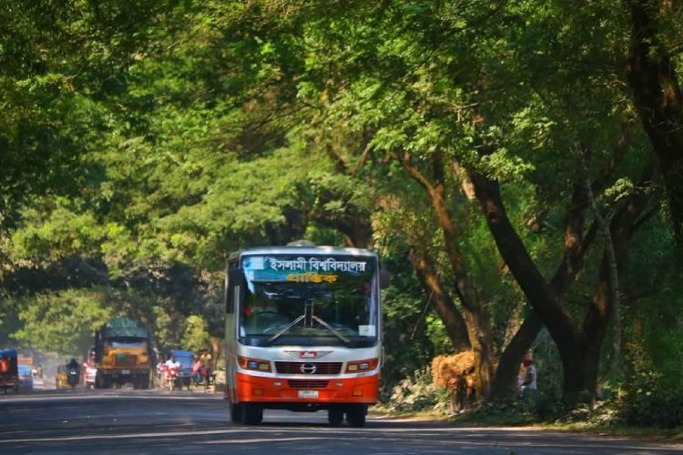 প্রতিনিধির পাঠানো চিত্র