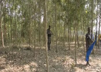 ছবি: প্রতিনিধি