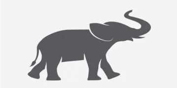 যুক্তরাষ্ট্রের মতো বাংলাদেশের রিপাবলিকান পার্টিও পেলো হাতি মার্কা