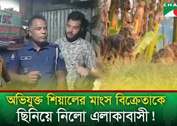 নোয়াখালীতে শেয়ালের মাংস বিক্রির অভিযোগ