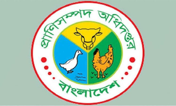 অ্যানথ্রাক্স প্রতিরোধে গবাদিপশুর টিকাদান কর্মসূচি শুরু