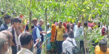 ছবি: প্রতিনিধি