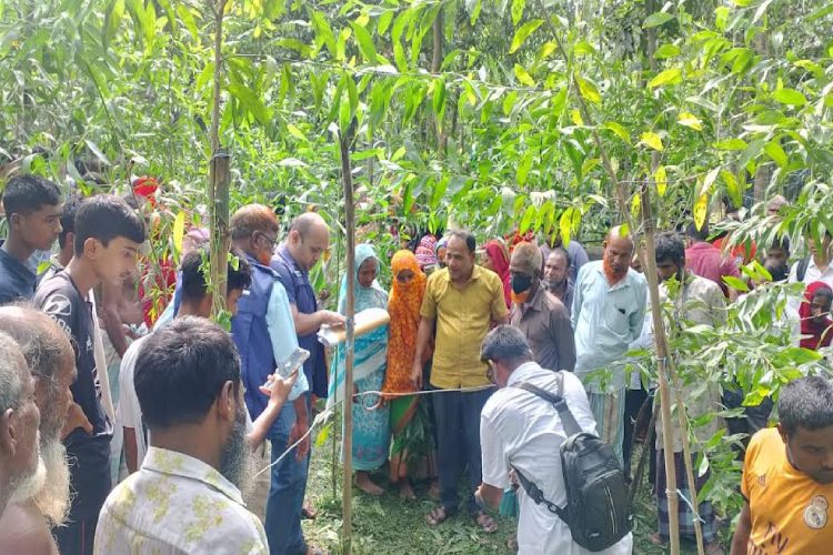 ছবি: প্রতিনিধি