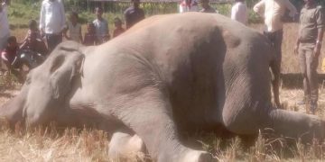 কক্সবাজার প্রতিনিধির পাঠানো ছবি