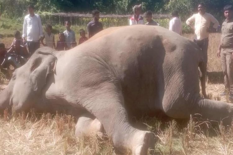 কক্সবাজার প্রতিনিধির পাঠানো ছবি