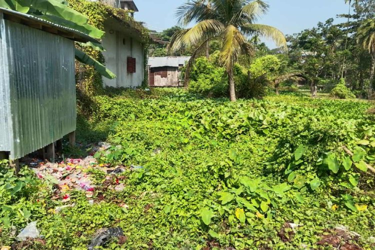 ছবি: প্রতিনিধি