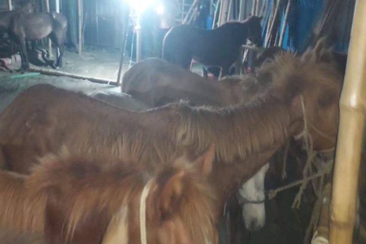 ছবি: প্রতিনিধি