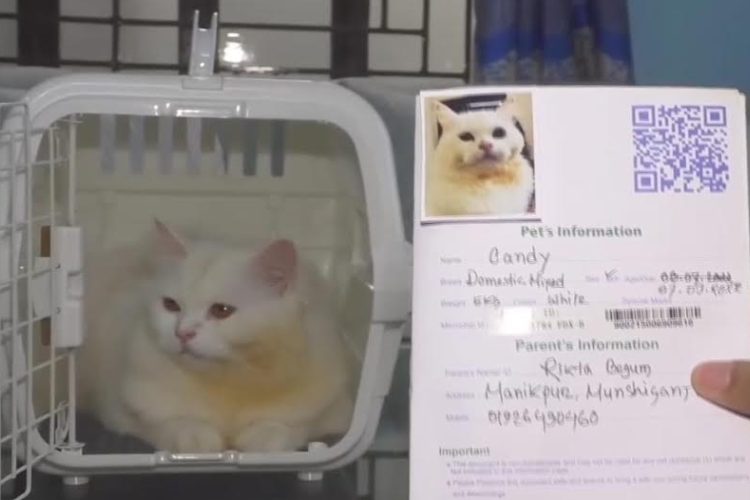 ছবি: প্রতিনিধি