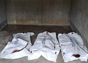 গাইবান্ধায় গরুচোর সন্দেহে তিনজনকে পিটিয়ে হত্যা