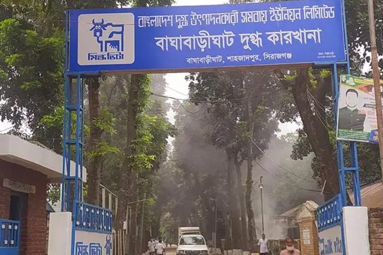 ৬ দফা দাবিতে মিল্কভিটায় দুধ সরবরাহ বন্ধ রেখেছে সিরাজগঞ্জের শাহজাদপুরের সমবায়ি খামারিরা