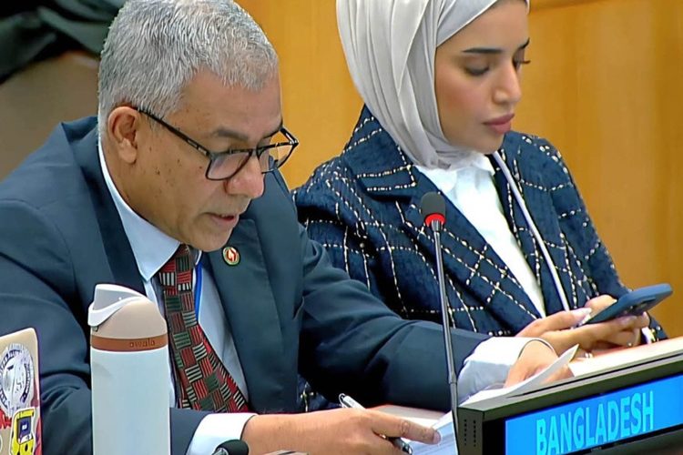 রোহিঙ্গা সংকটের টেকসই সমাধান এবং তাদের নিরাপদে ও স্বেচ্ছায় মিয়ানমারে প্রত্যাবাসনের জন্য নতুন প্রস্তাব গৃহীত। ছবি: সংগৃহীত