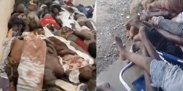 সিএনএন প্রমাণ পেয়েছে যে তানজানিয়ায় পুলিশ বিক্ষোভকারীদের হত্যা করেছে। ছবি: সিএনএন