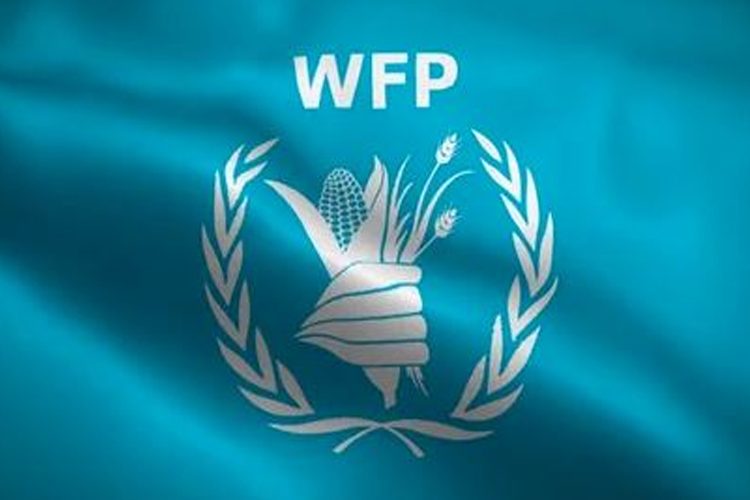 ডব্লিউএফপির লোগো