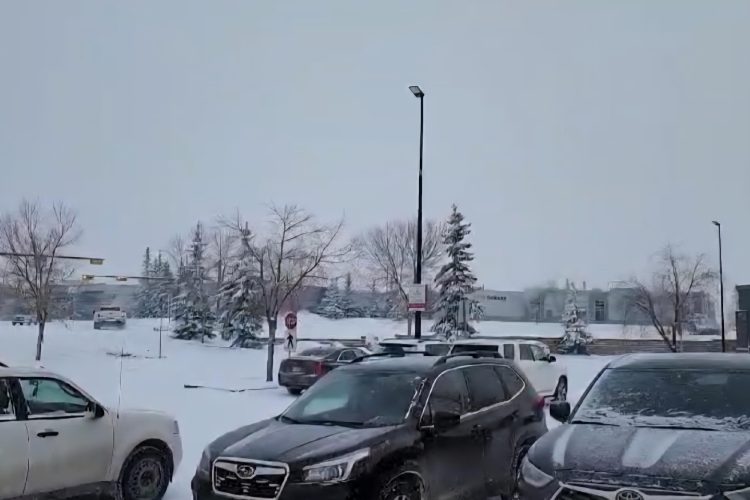 কানাডার ক্যালগেরিতে প্রচণ্ড শীত-তুষারপাতে জনজীবন বিপর্যস্ত