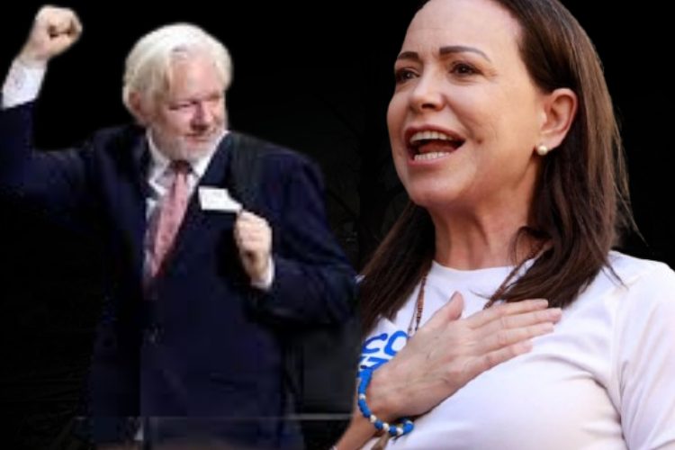 মাচাদোকে শান্তি পুরস্কার: নোবেল ফাউন্ডেশনের বিরুদ্ধে জুলিয়ান অ্যাসাঞ্জের মামলা