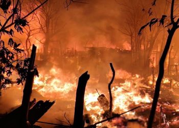 ছবি: কক্সবাজার প্রতিনিধি