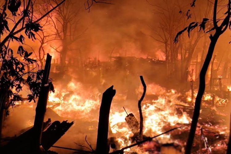 ছবি: কক্সবাজার প্রতিনিধি