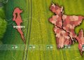 Map of Bangladesh highlighting Cox's Bazar district and surrounding regions. Channel i News - চ্যানেল আই নিউজ