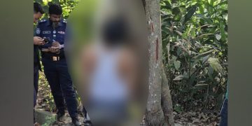 প্রতিনিধির পাঠানো ছবি