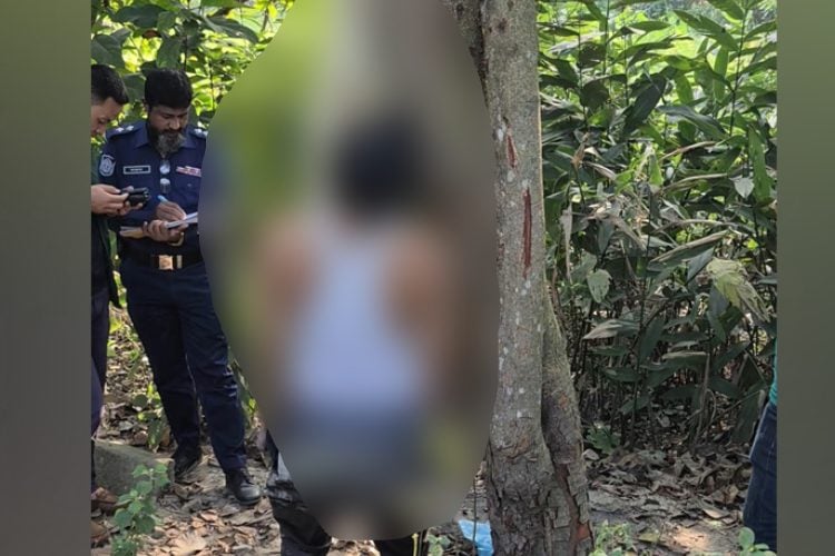প্রতিনিধির পাঠানো ছবি