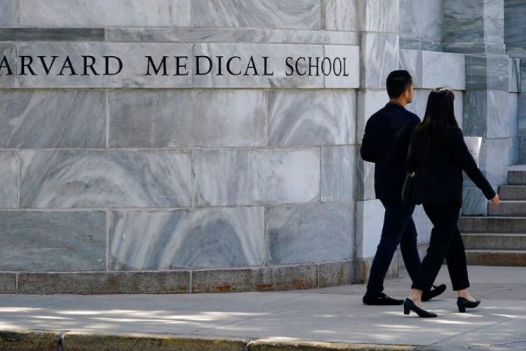 ছবি: আল জাজিরা থেকে সংগৃহীত