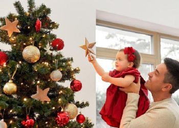 ছবি সংগৃহীত