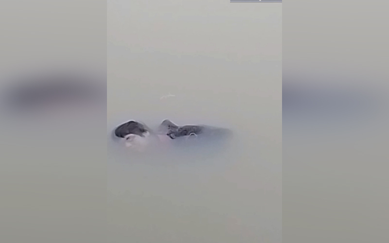 মাগুরায় অজ্ঞাত নারীর মরদেহ উদ্ধার