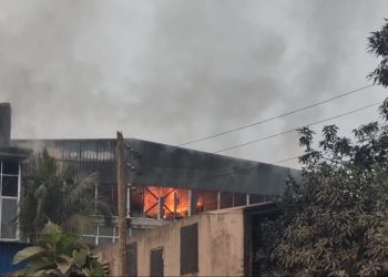 পূবাইলে কার্টুন কারখানায় আগুন। ছবি: প্রতিনিধি