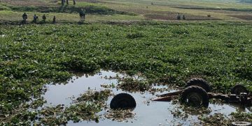 নিয়ন্ত্রণ হারিয়ে ঘাটে উল্টে পড়ল ট্রলি