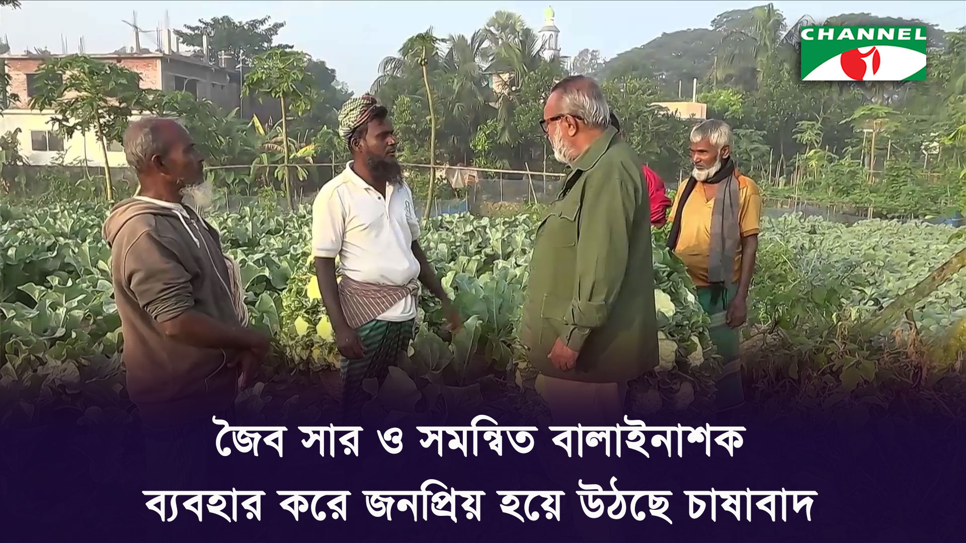 মুন্সিগঞ্জের বজ্রযোগিনীতে জৈবকৃষির সাফল্য