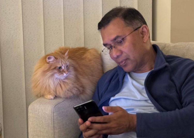 বিএনপির ভারপ্রাপ্ত চেয়ারম্যান তারেক রহমান ও তার পরিবারের পোষা বিড়াল