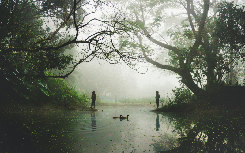 অনেক জেলায় শৈত্যপ্রবাহে সর্বনিম্ন তাপমাত্রার নজির, শীতে কাঁপছে দেশ