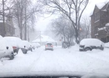 ছবি: কানাডার প্রতিনিধি