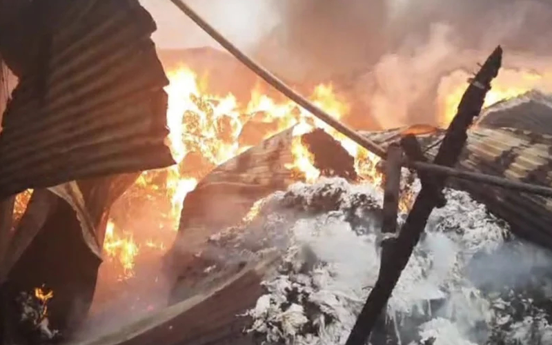 গাজীপুরের ঝুট গোডাউনে অগ্নিকাণ্ড, নিয়ন্ত্রণে কাজ করছে ফায়ার সার্ভিস